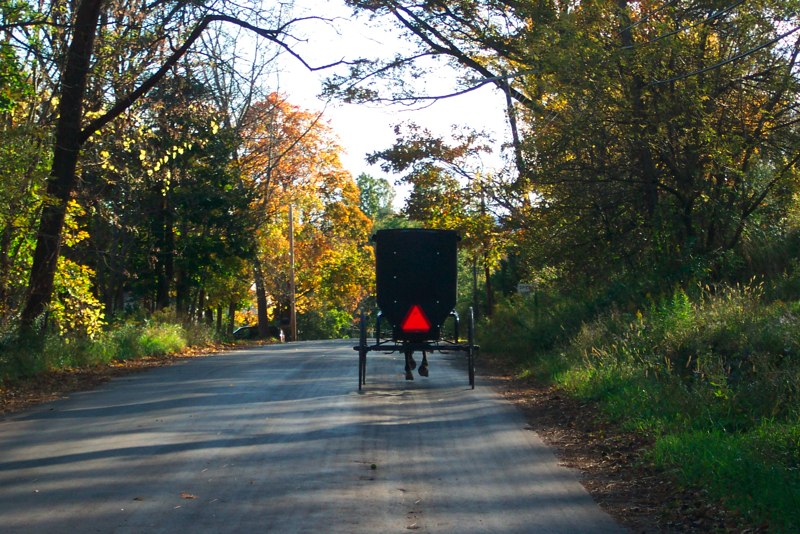 Amish Buggy heading down the road